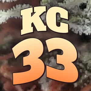 KC 33 Cannabis Strain