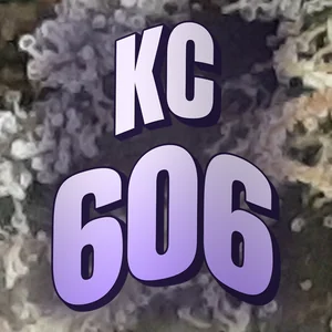 KC 606 Cannabis Strain