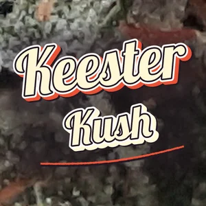Keester Kush Cannabis Strain