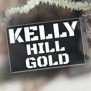 Kelly Hill Gold Cannabis Strain