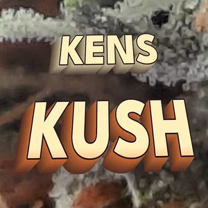 Kens Kush Cannabis Strain