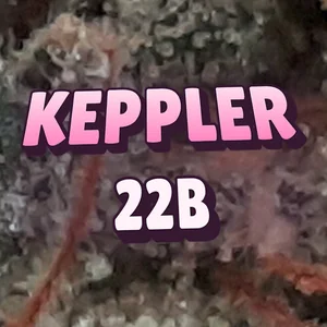Keppler 22B Cannabis Strain