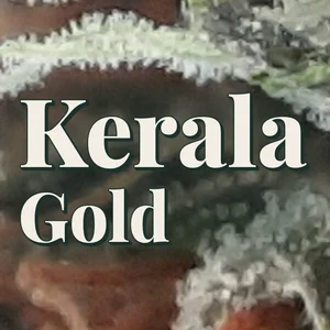 Kerala Gold Cannabis Strain