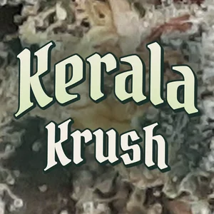 Kerala Krush Cannabis Strain
