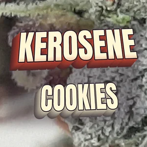 Kerosene Cookies Cannabis Strain