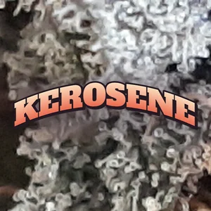 Kerosene Cannabis Strain