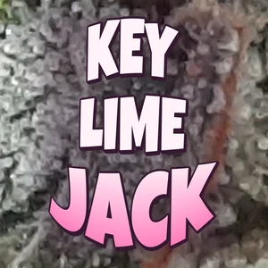 Key Lime Jack Cannabis Strain
