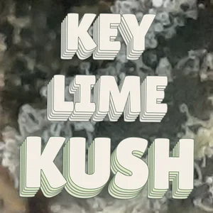 Key Lime Kush Cannabis Strain