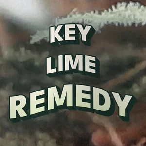 Key Lime Remedy Cannabis Strain