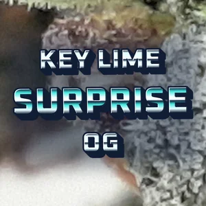 Key Lime Surprise OG Cannabis Strain