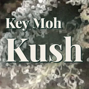 Key Moh Kush Cannabis Strain