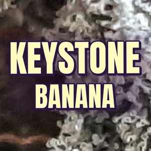 Keystone Banana Cannabis Strain