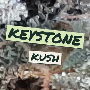Keystone Kush Cannabis Strain