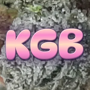 KGB Cannabis Strain