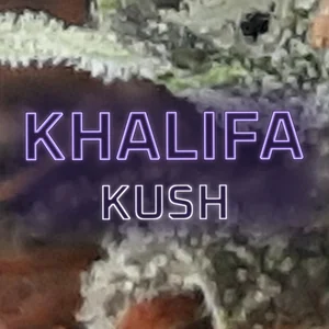 Khalifa Kush Cannabis Strain