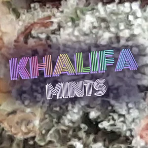 Khalifa Mints Cannabis Strain