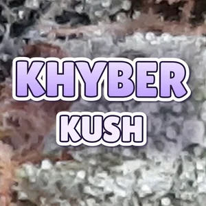 Khyber Kush Cannabis Strain