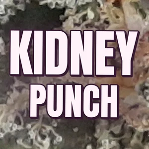 Kidney Punch Cannabis Strain