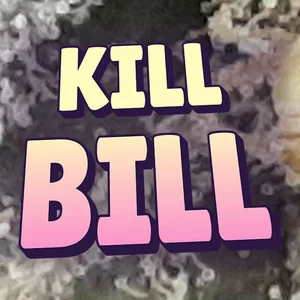 Kill Bill Cannabis Strain