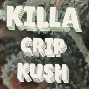 Killa Crip Kush Cannabis Strain