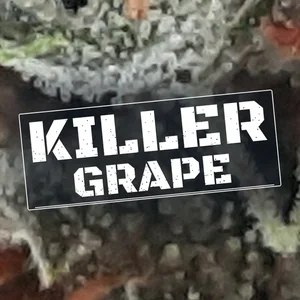 Killer Grape Cannabis Strain
