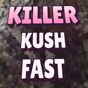 Killer Kush Fast Cannabis Strain
