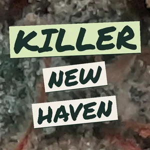 Killer New Haven Cannabis Strain