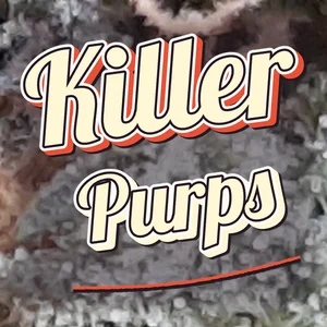 Killer Purps Cannabis Strain