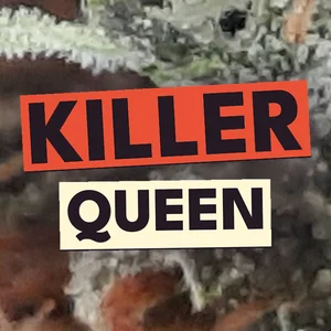 Killer Queen Cannabis Strain