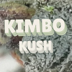 Kimbo Kush Cannabis Strain