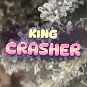 King Crasher Cannabis Strain