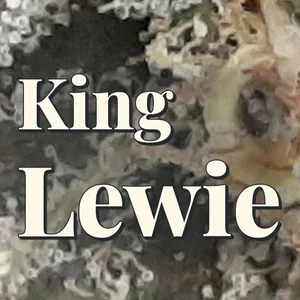 King Lewie Cannabis Strain
