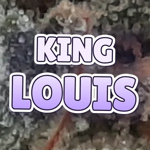 King Louis Cannabis Strain