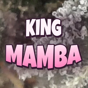 King Mamba Cannabis Strain