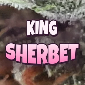 King Sherbet Cannabis Strain