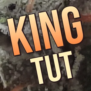 King Tut Cannabis Strain