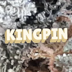 Kingpin Cannabis Strain