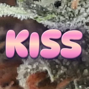 Kiss Cannabis Strain