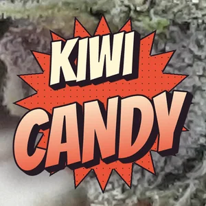 Kiwi Candy Cannabis Strain