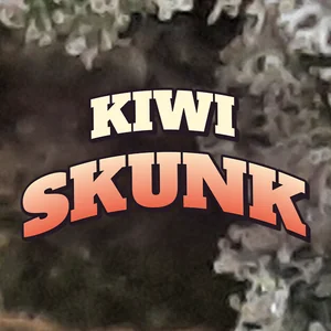 Kiwi Skunk Cannabis Strain