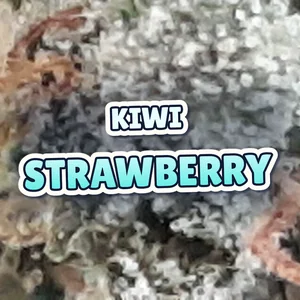 Kiwi Strawberry Cannabis Strain