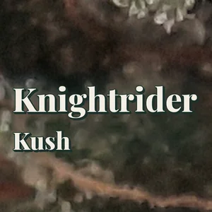 Knightrider Kush Cannabis Strain