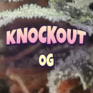 Knockout OG Cannabis Strain