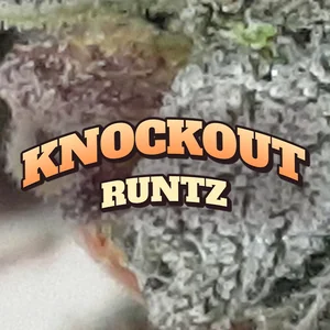 Knockout Runtz Cannabis Strain
