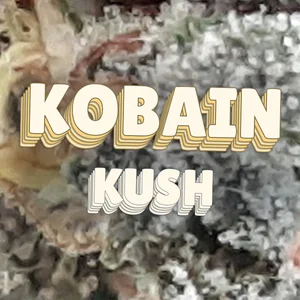 Kobain Kush Cannabis Strain