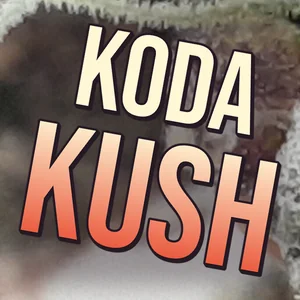 Koda Kush Cannabis Strain