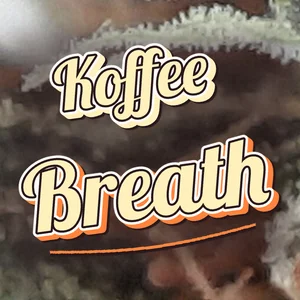 Koffee Breath Cannabis Strain