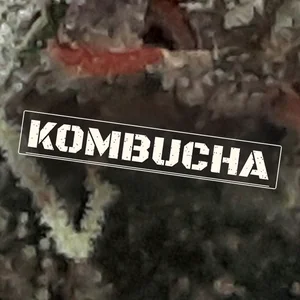 Kombucha Cannabis Strain