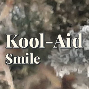 Kool-Aid Smile Cannabis Strain