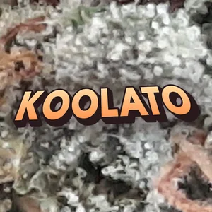 Koolato Cannabis Strain